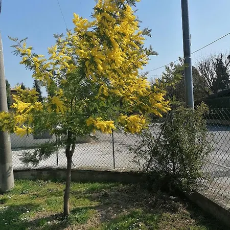 La Birichina Daire