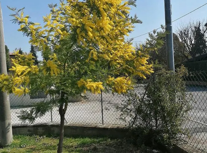 La Birichina Appartamento